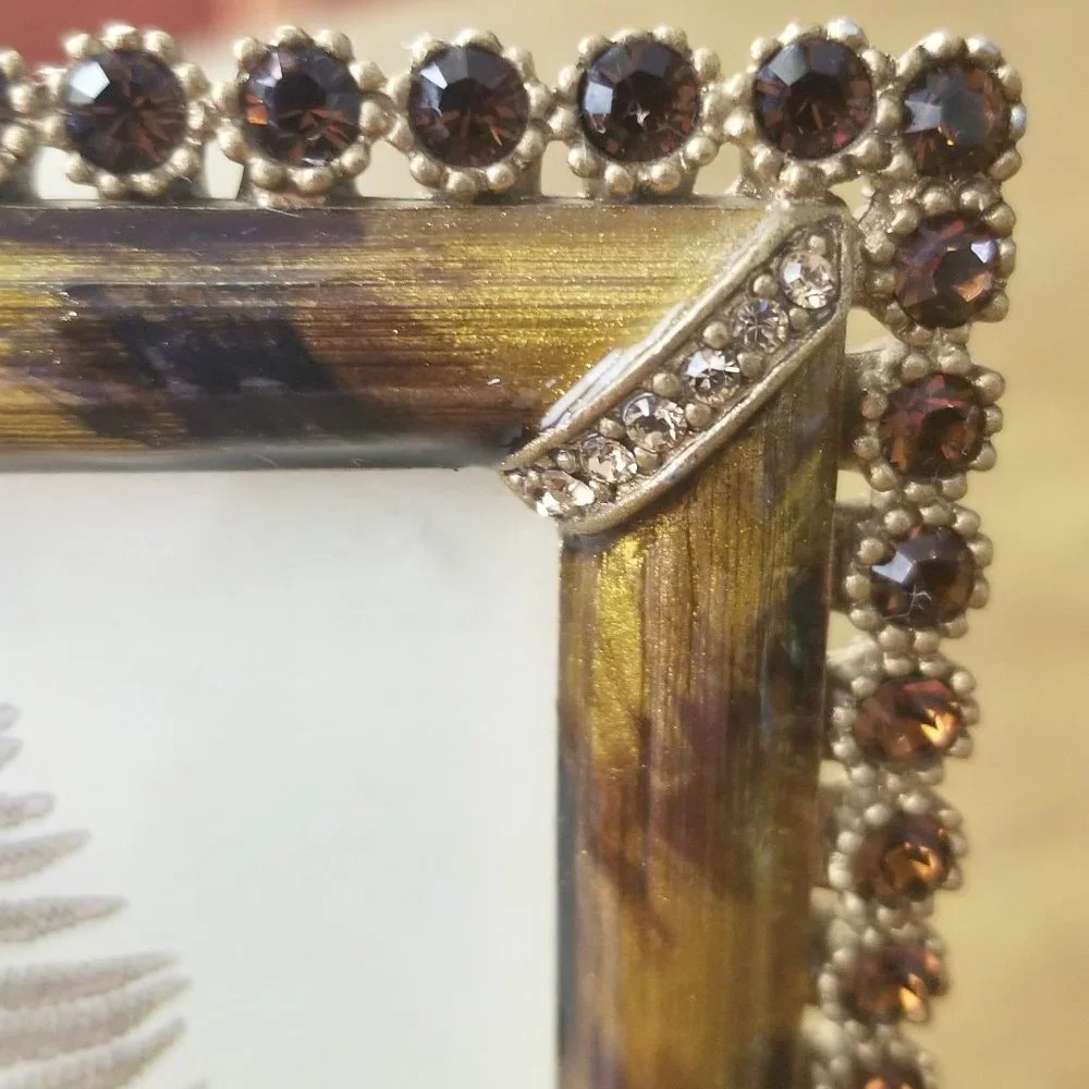 RARE JAY STRONGWATER LORRAINE LUCAS LEOPARD JUNGLE PAVE CRYSTAL ENAMEL FRAME